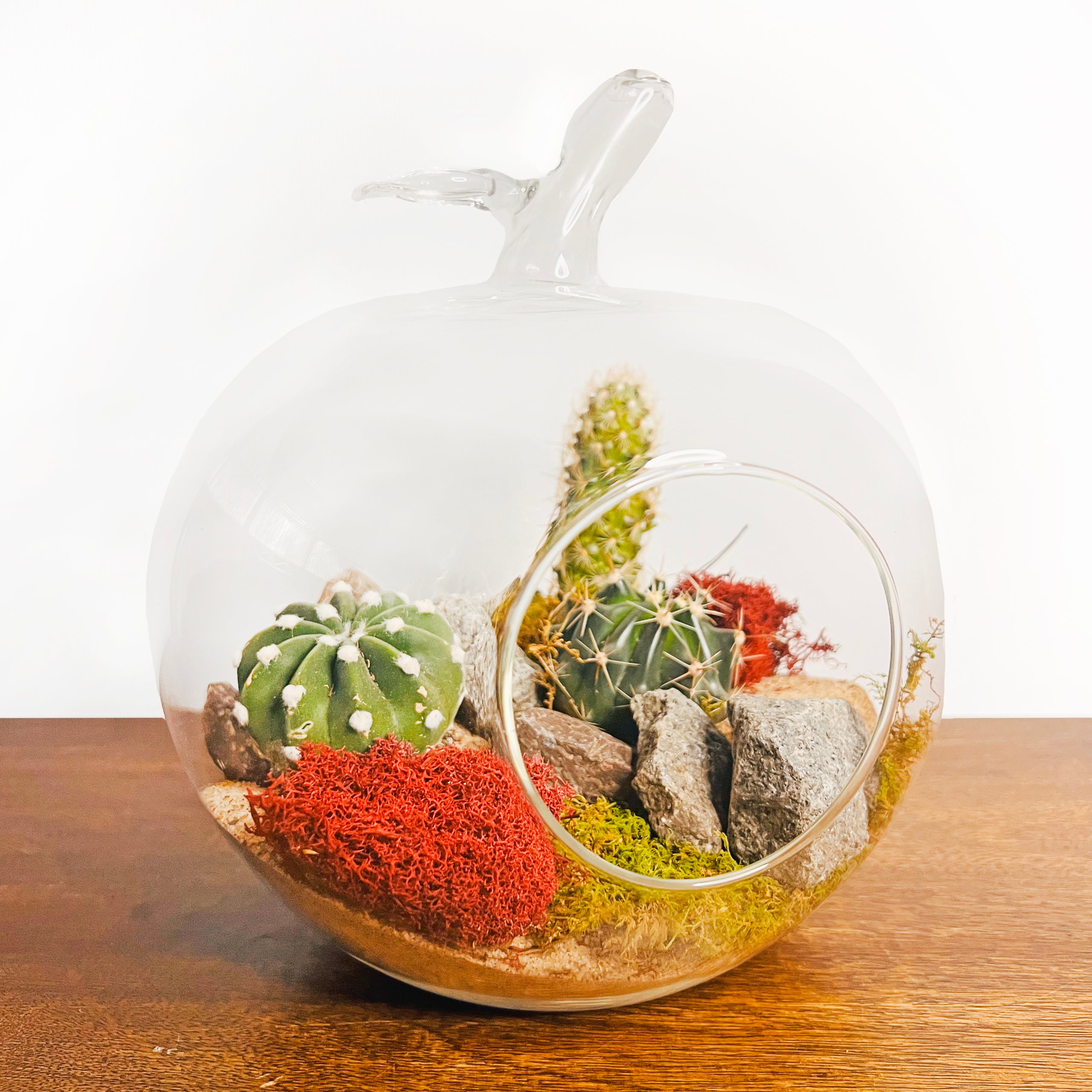 Custom on sale glass terrarium